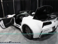 HendoSmoke - 2014 LA Auto Show-1030