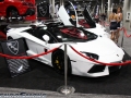 HendoSmoke - 2014 LA Auto Show-1036