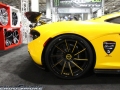 HendoSmoke - 2014 LA Auto Show-1313