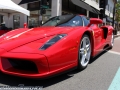 HendoSmoke - Concorso Ferrari -Pasadena 2013-207